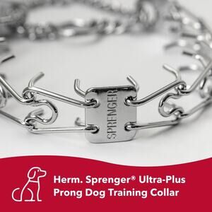 Sprenger Training Collar